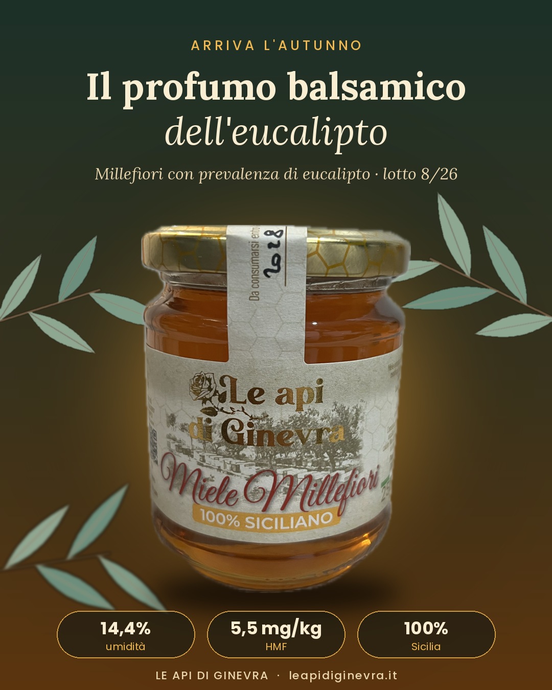 Miele millefiori all'eucalipto: il profumo dell'autunno siciliano (lotto 8/26)